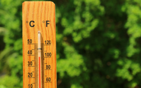 Il caldo anticipa la vendemmia sulle colline di Rimini
