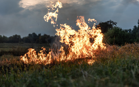 Incendio della siepe, denunciato un 65enne a Viserba