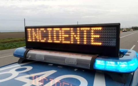Pino crolla in viale Ceccarini, nessun ferito a Riccione