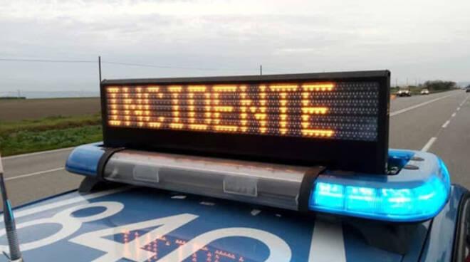 Pino crolla in viale Ceccarini, nessun ferito a Riccione