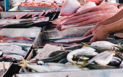 Mercato ittico a Rimini, il Comitato chiede il Caar