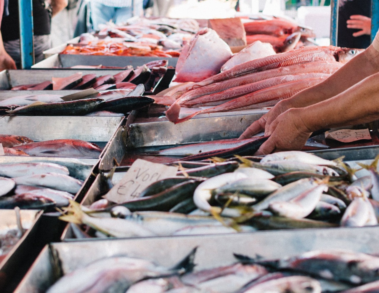 Pesce fresco a Rimini, prezzi bassi e banchi svuotati