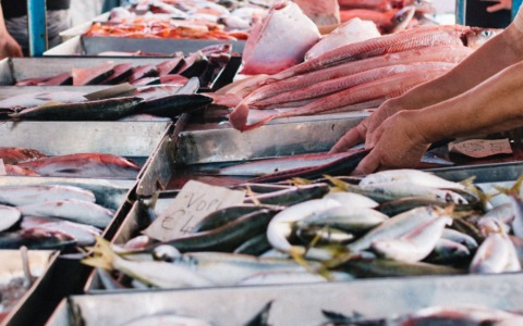 Pesce fresco a Rimini, prezzi bassi e banchi svuotati